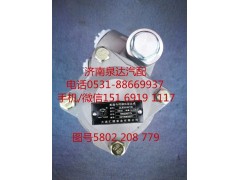 5802208779,轉(zhuǎn)向助力泵,濟(jì)南泉達(dá)汽配有限公司