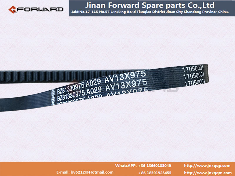 81330975   壓縮機(jī)皮帶AV13×975/81330975
