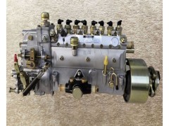 101089-0520,噴油泵Fuel injection pump,濟(jì)南向前汽車配件有限公司