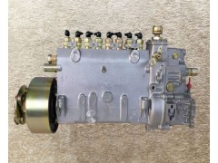 101089-0520,噴油泵Fuel injection pump,濟(jì)南向前汽車配件有限公司