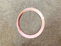 81.52403.0008,ABS齒圈ABS ring gear,濟(jì)南向前汽車配件有限公司