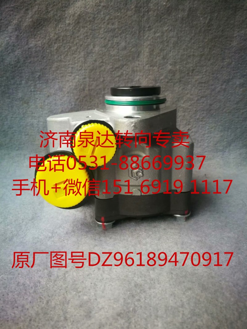 DZ96189470917,轉(zhuǎn)向助力泵,濟(jì)南泉達(dá)汽配有限公司