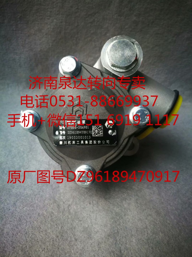 DZ96189470917,轉(zhuǎn)向助力泵,濟(jì)南泉達(dá)汽配有限公司
