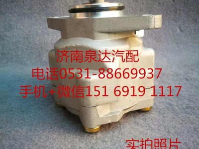 8000048C91,轉(zhuǎn)向助力泵,濟(jì)南泉達(dá)汽配有限公司