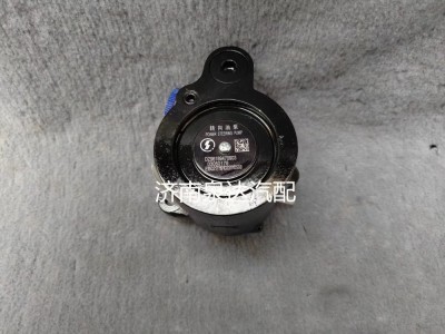 DZ96189470903,轉(zhuǎn)向助力泵,濟(jì)南泉達(dá)汽配有限公司