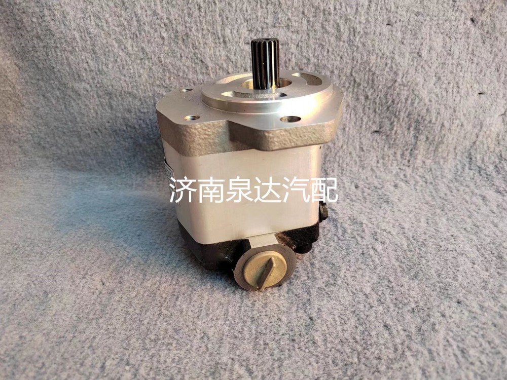 徐工起重機(jī)吊車XZZX-B301方向助力泵轉(zhuǎn)向泵液壓泵齒輪泵/803000065
