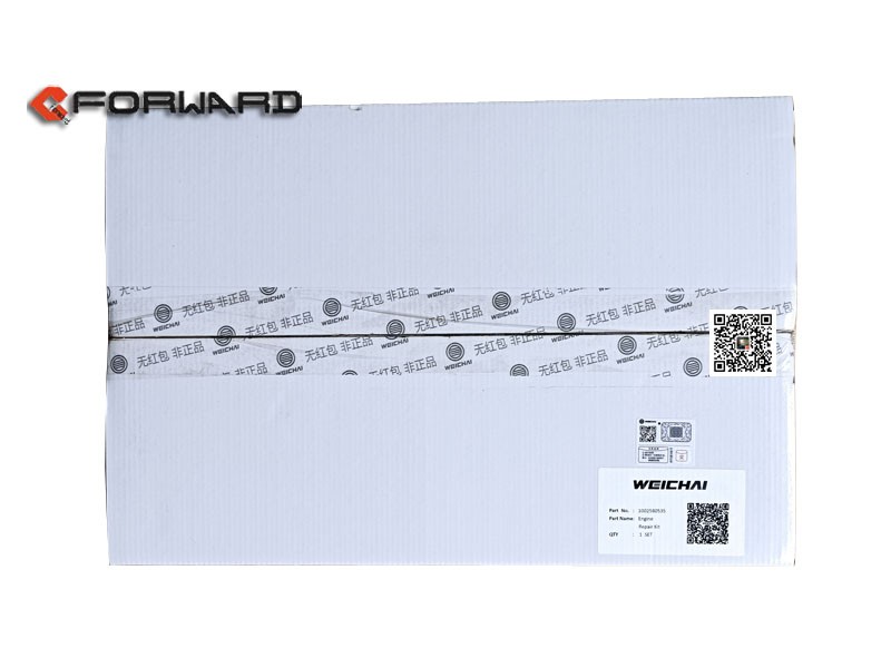 1002580535  發(fā)動機修理包  WP10 WD618/1002580535