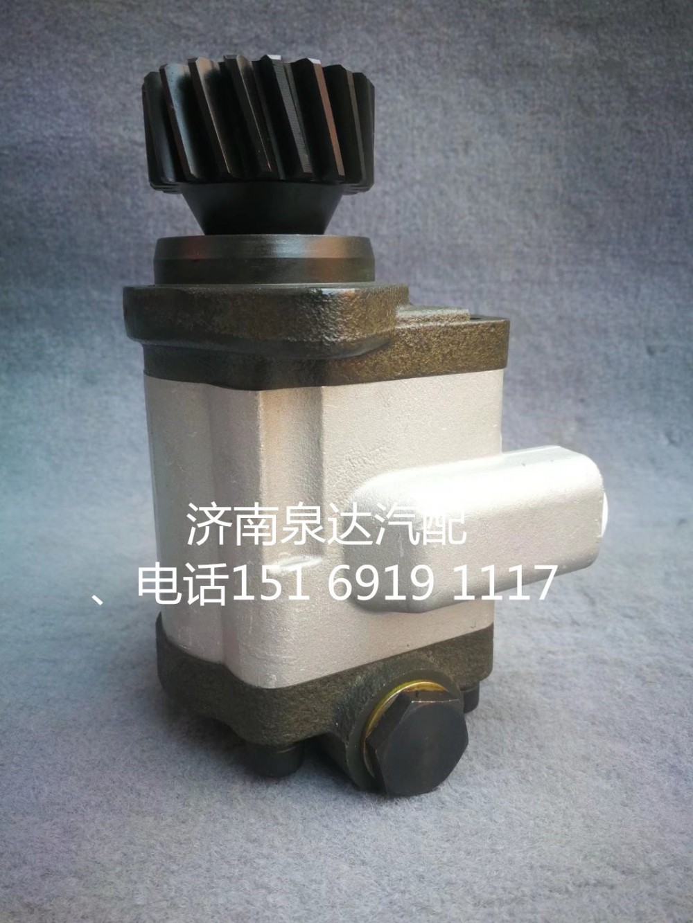 QC28/19-WD12-NJ,齒輪泵,濟(jì)南泉達(dá)汽配有限公司