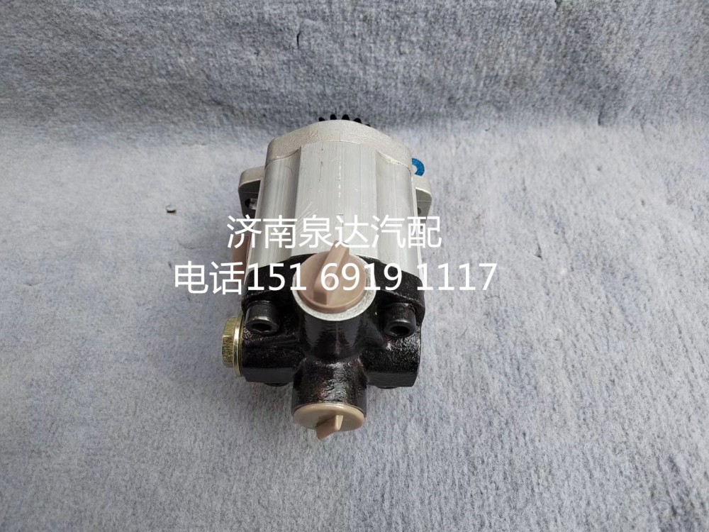 QC32/18-WD618,轉向助力泵,濟南泉達汽配有限公司