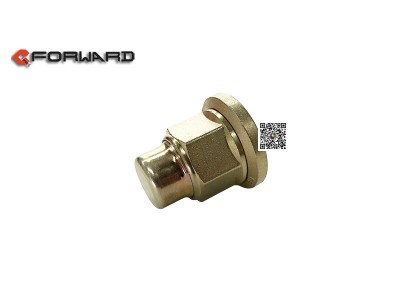 DZ95189611301,Wheel with nut cap,濟(jì)南向前汽車配件有限公司