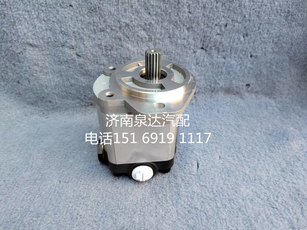 10100122,齒輪泵,濟南泉達汽配有限公司