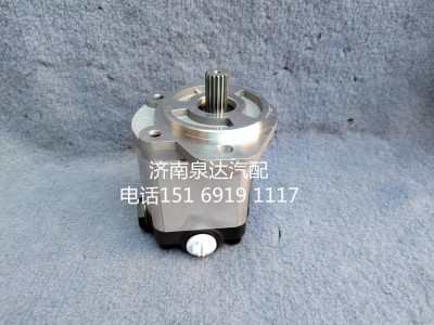10100122,齒輪泵,濟南泉達汽配有限公司