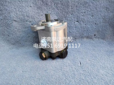 10100122,齒輪泵,濟南泉達汽配有限公司
