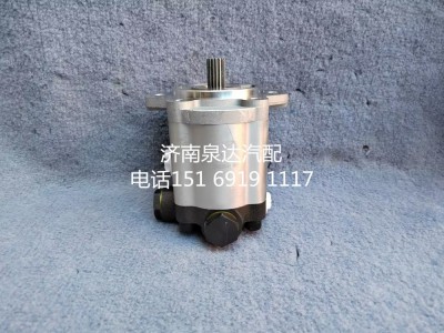 10100122,齒輪泵,濟南泉達汽配有限公司