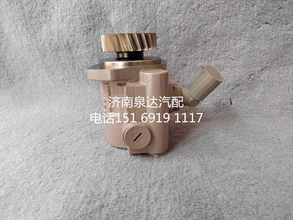 3407020-DG001B,轉向助力泵,濟南泉達汽配有限公司