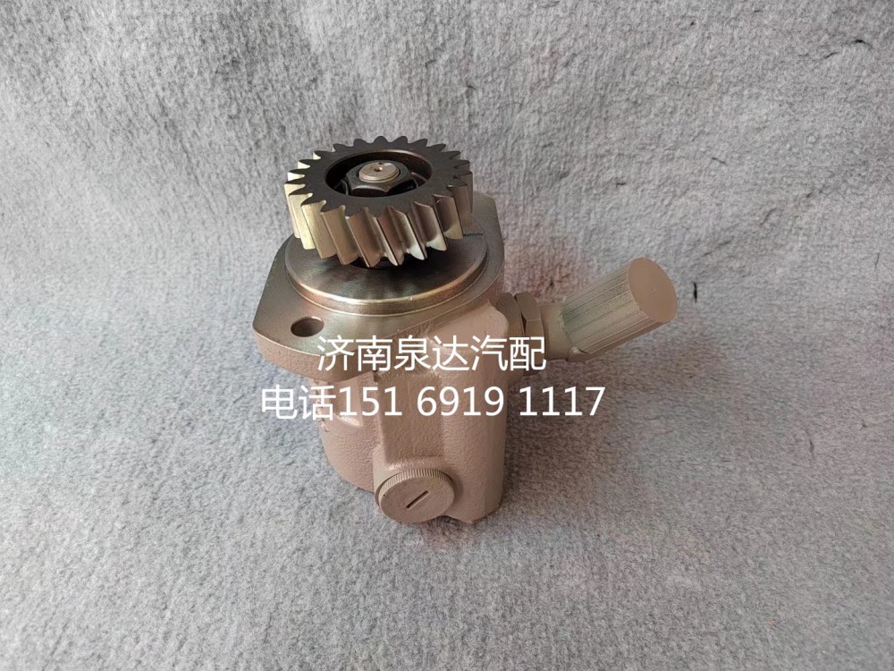 3407020-DG001B,轉向助力泵,濟南泉達汽配有限公司