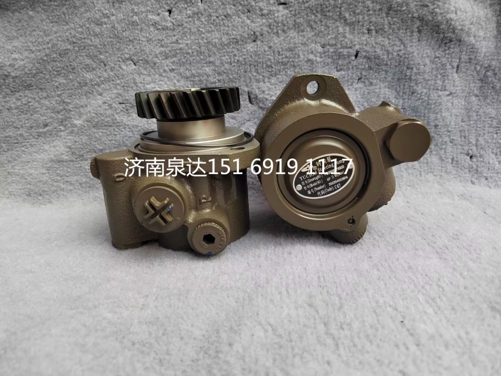 FG9806476900,轉(zhuǎn)向助力泵,濟南泉達汽配有限公司