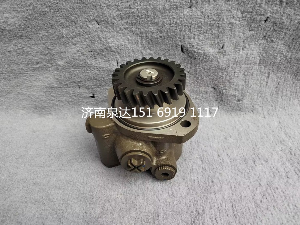 FG9806476900,轉(zhuǎn)向助力泵,濟南泉達汽配有限公司