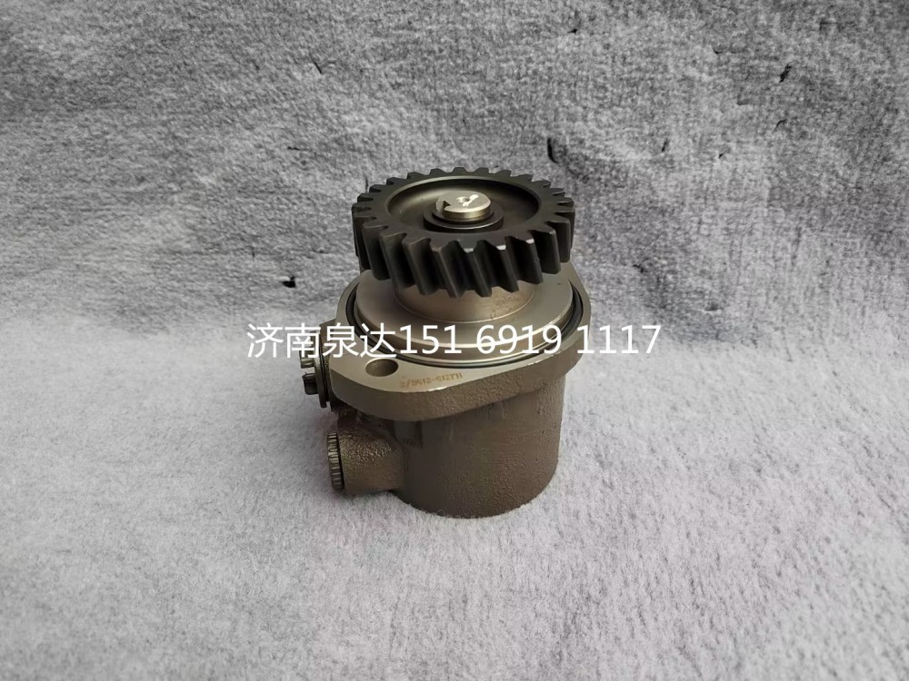 FG9806476900,轉(zhuǎn)向助力泵,濟南泉達汽配有限公司