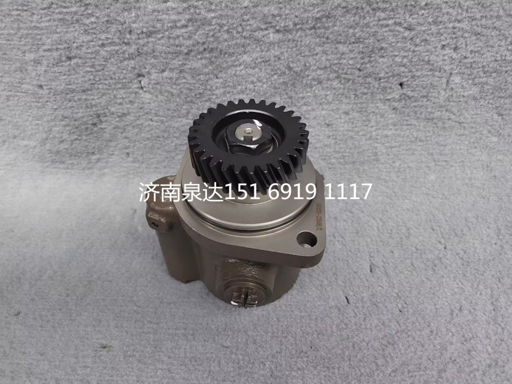 LG9716471923,轉向助力泵,濟南泉達汽配有限公司