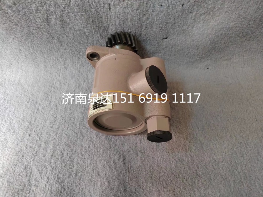 612600130149,轉(zhuǎn)向助力泵,濟(jì)南泉達(dá)汽配有限公司