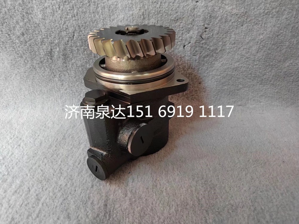 陜汽德龍F(tuán)3000L5000X3000轉(zhuǎn)向泵助力泵液壓泵/DZ95259130001