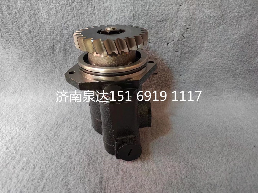 陜汽德龍F(tuán)3000L5000X3000轉(zhuǎn)向泵助力泵液壓泵/DZ95259130001