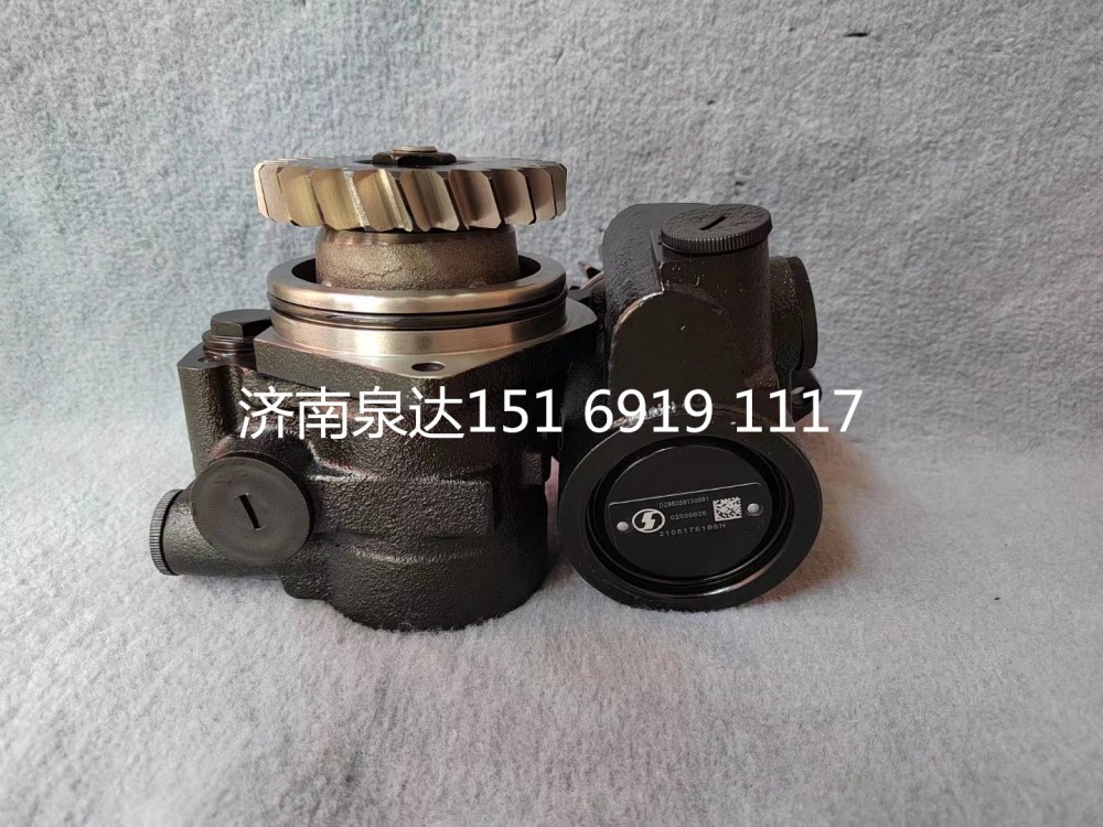 陜汽德龍F(tuán)3000L5000X3000轉(zhuǎn)向泵助力泵液壓泵/DZ95259130001