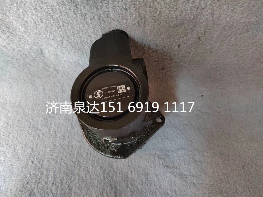 陜汽德龍F(tuán)3000L5000X3000轉(zhuǎn)向泵助力泵液壓泵/DZ95259130001