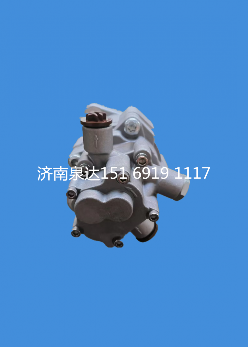 奔馳卡車泵車轉向助力泵液壓泵葉片泵8696955105/8696955105