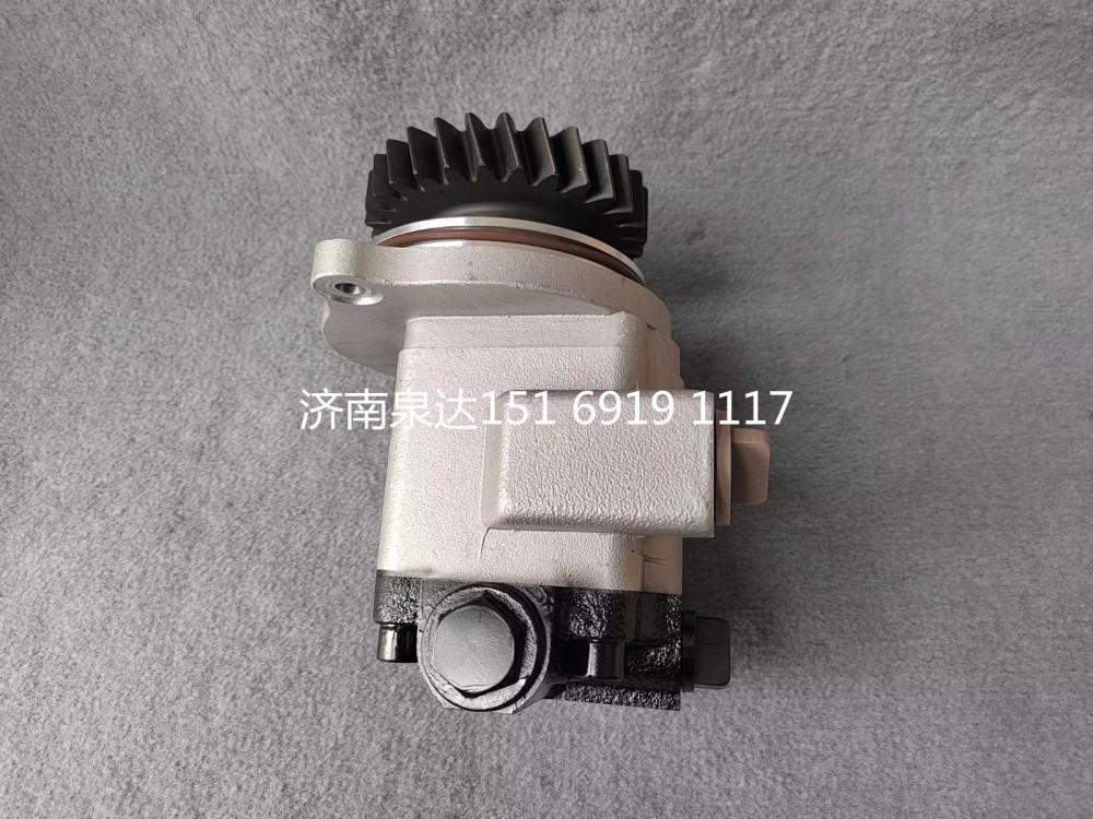 QC25/19-WP12N1-SD,轉(zhuǎn)向助力泵,濟(jì)南泉達(dá)汽配有限公司