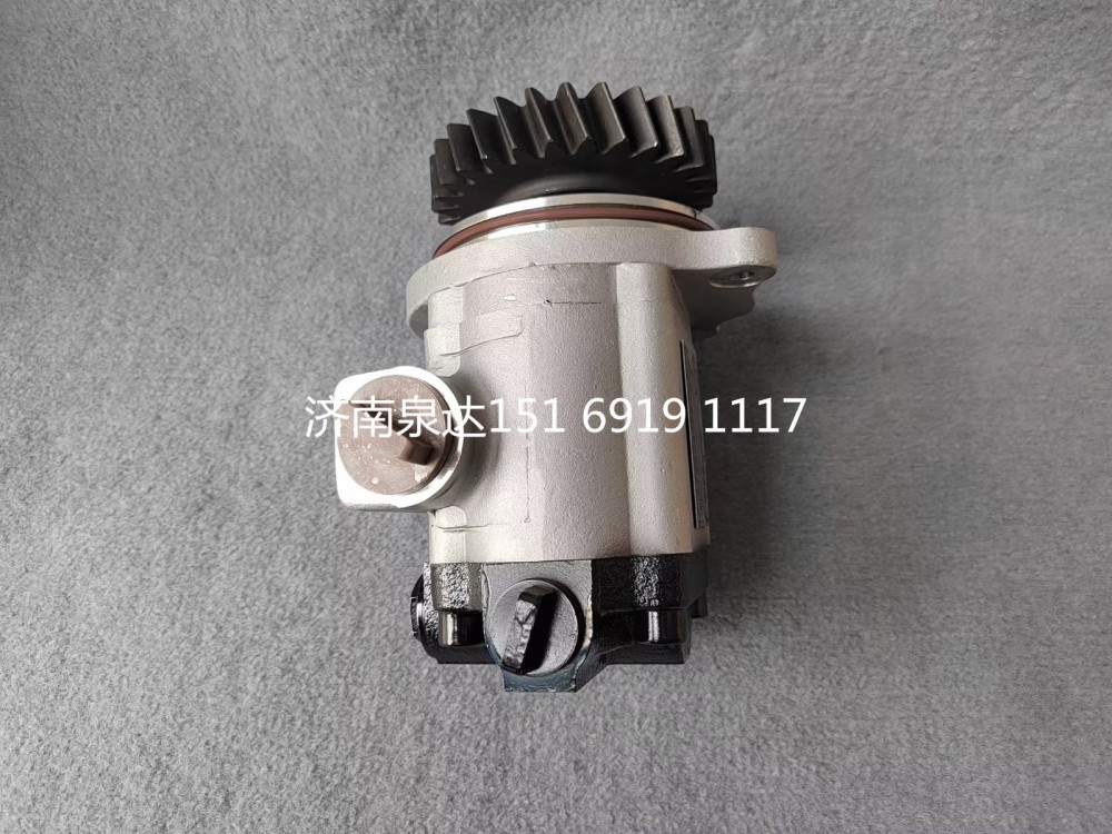 QC25/19-WP12N1-SD,轉(zhuǎn)向助力泵,濟(jì)南泉達(dá)汽配有限公司