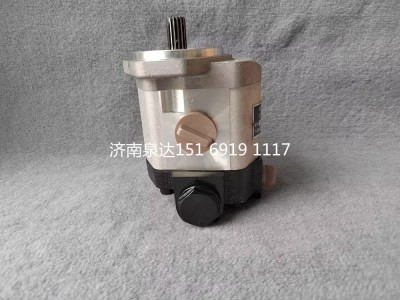 QC20/14-226B,轉(zhuǎn)向助力泵,濟南泉達汽配有限公司