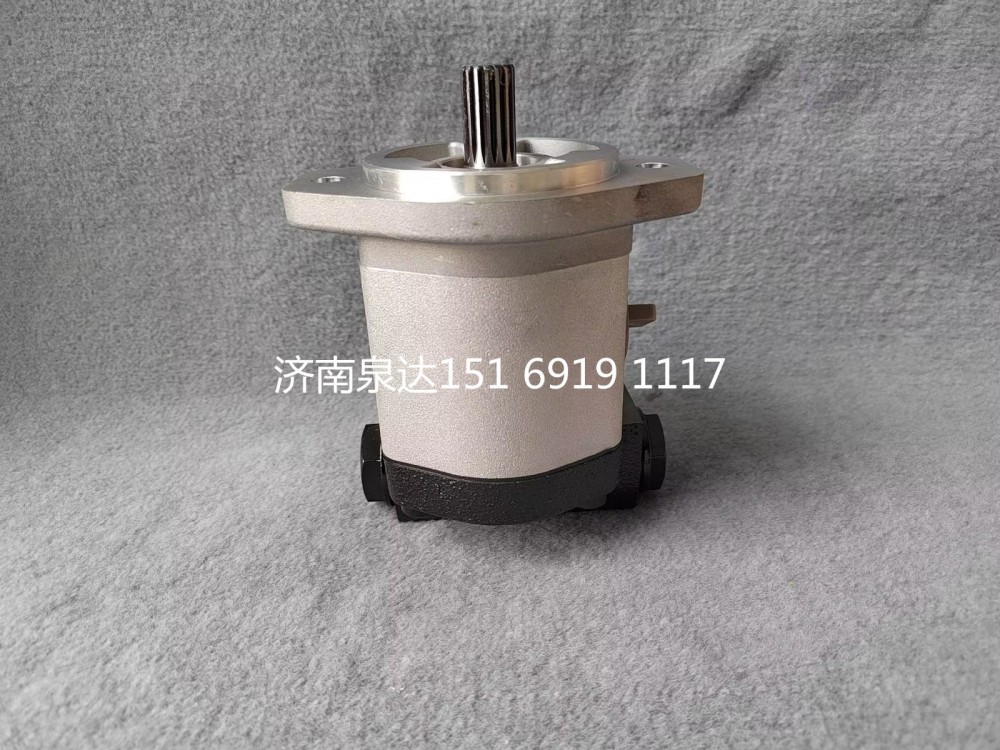 QC20/14-226B,轉(zhuǎn)向助力泵,濟南泉達汽配有限公司