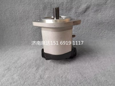 QC20/14-226B,轉(zhuǎn)向助力泵,濟南泉達汽配有限公司