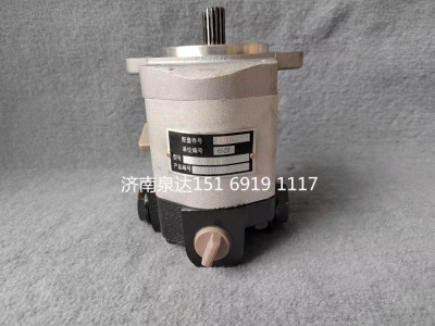 QC20/14-226B,轉(zhuǎn)向助力泵,濟南泉達汽配有限公司