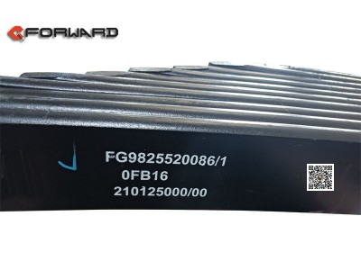 FG9825520086,Rear leaf spring assembly,濟南向前汽車配件有限公司