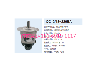 QC12/13-226BA,動力轉向齒輪泵,濟南泉達汽配有限公司