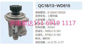612600130522,動(dòng)力轉(zhuǎn)向齒輪泵,濟(jì)南泉達(dá)汽配有限公司
