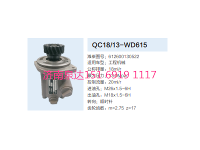 612600130522,動(dòng)力轉(zhuǎn)向齒輪泵,濟(jì)南泉達(dá)汽配有限公司