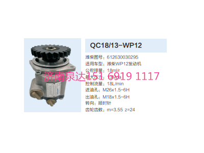 612630030295,轉向助力泵,濟南泉達汽配有限公司