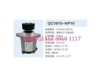 612600130515,動力轉(zhuǎn)向齒輪泵,濟南泉達汽配有限公司
