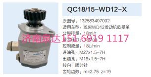 QC18/15-WD12-X,動力轉(zhuǎn)向齒輪泵,濟南泉達(dá)汽配有限公司
