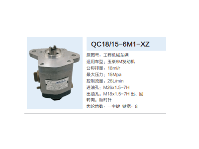 QC18/15-6M1-XZ,動力轉(zhuǎn)向齒輪泵,濟南泉達汽配有限公司