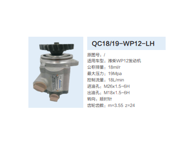 QC18/19-WP12-LH,動力轉(zhuǎn)向齒輪泵,濟(jì)南泉達(dá)汽配有限公司