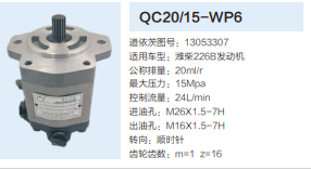 13053307,動力轉向齒輪泵,濟南泉達汽配有限公司