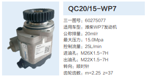 60275077,動力轉(zhuǎn)向齒輪泵,濟南泉達汽配有限公司