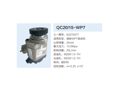 60275077,動力轉(zhuǎn)向齒輪泵,濟南泉達汽配有限公司