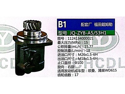 1124134000021,轉(zhuǎn)向助力泵,濟南泉達(dá)汽配有限公司