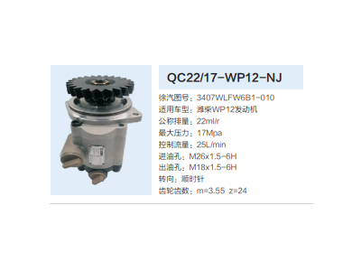 3407WLFW6B1-010,轉(zhuǎn)向助力泵,濟(jì)南泉達(dá)汽配有限公司